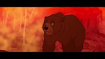 Brother Bear picture