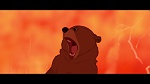 Brother Bear picture