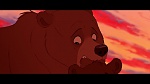 Brother Bear picture