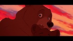 Brother Bear picture