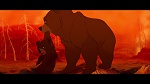 Brother Bear picture