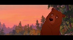 Brother Bear picture