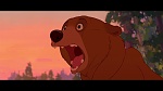 Brother Bear picture