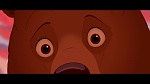 Brother Bear picture