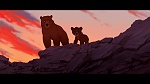 Brother Bear picture