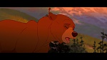 Brother Bear picture