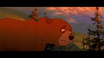 Brother Bear picture