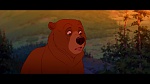 Brother Bear picture