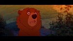 Brother Bear picture