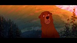 Brother Bear picture