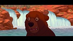 Brother Bear picture