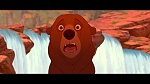 Brother Bear picture