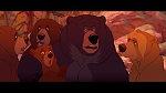 Image Brother Bear