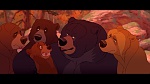 Brother Bear picture