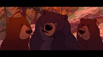 Brother Bear picture