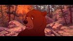 Brother Bear picture