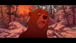 Brother Bear picture