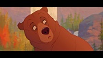 Brother Bear picture
