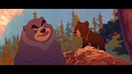 Brother Bear picture