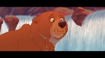 Brother Bear picture