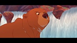 Image Brother Bear