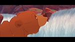 Brother Bear picture