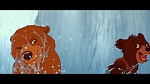 Brother Bear picture