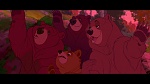 Image Brother Bear