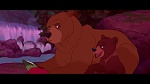 Brother Bear picture
