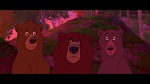 Brother Bear picture