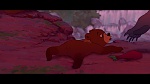 Brother Bear picture