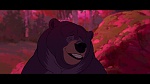 Brother Bear picture