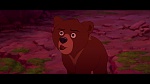 Brother Bear picture