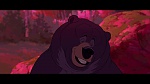 Brother Bear picture