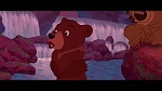 Brother Bear picture