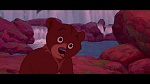 Brother Bear picture