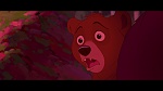 Image Brother Bear