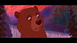 Brother Bear picture