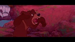 Brother Bear picture
