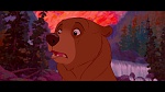 Brother Bear picture