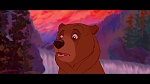 Brother Bear picture