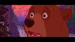 Brother Bear picture