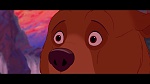 Brother Bear picture