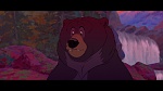 Brother Bear picture