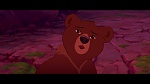 Brother Bear picture