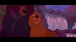 Brother Bear picture