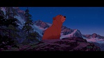 Brother Bear picture