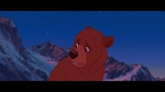 Brother Bear picture