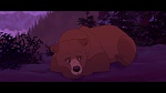 Brother Bear picture