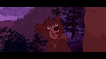 Brother Bear picture